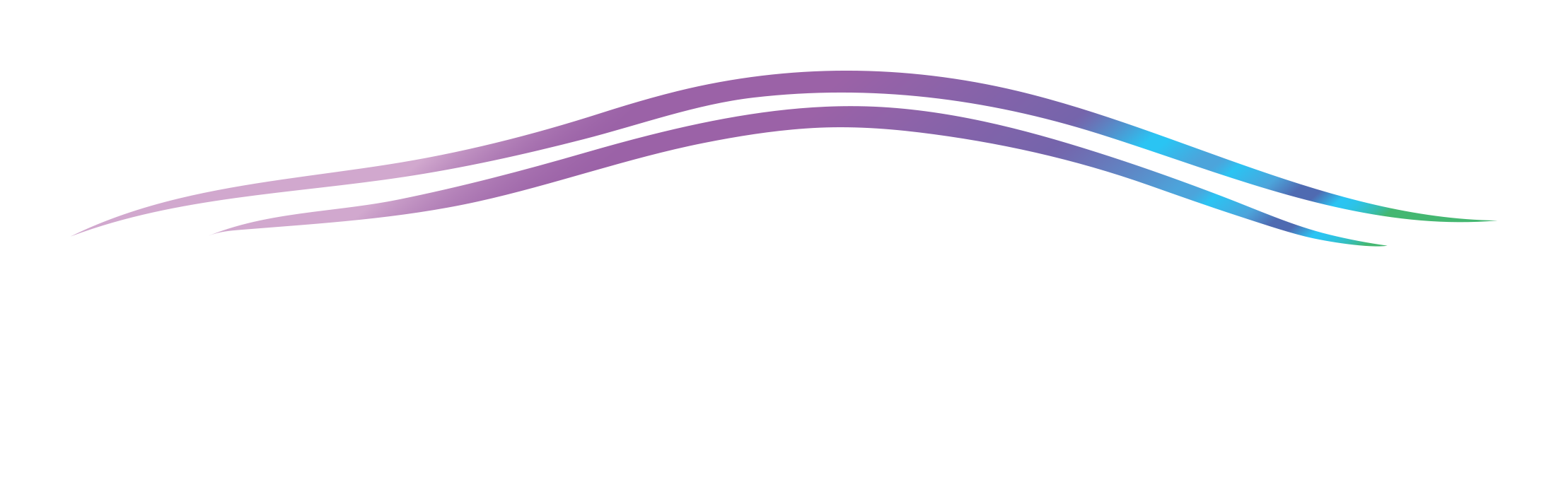 Presidian Warranty logo